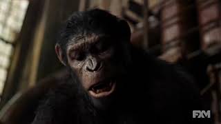 Koba vs Caesar Fight Scene Dawn of the Planet of the Apes 2014 YouTube [upl. by Trey196]