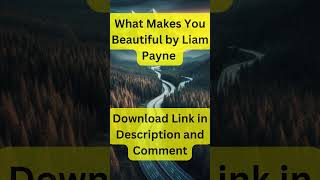 What Makes You Beautiful by Liam Payne  Download and Lyrics full video  shorts [upl. by Aihsit]