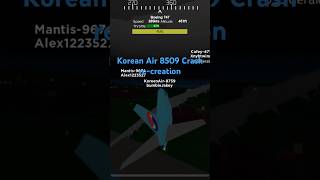 Korean Air 8509 crash animation updated version [upl. by Ariuqahs670]