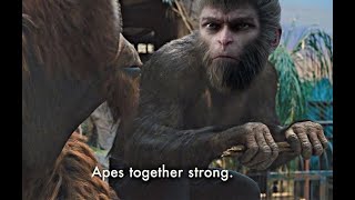 Apes together stronk  Black Myth Wukong 4 [upl. by Icaj291]