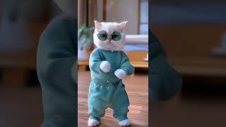 Billi ka dance l bili ka video l cartoon l short viralvideo [upl. by Demodena]