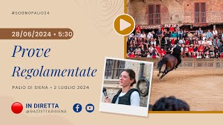 Prove Regolamentate  Palio di Siena 2 luglio 2024  SOGNO PALIO [upl. by Nyrok]