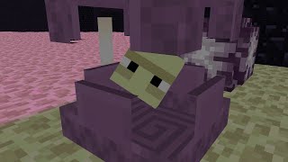 How To Breed Shulkers In Minecraft Shorts [upl. by Eilatan]