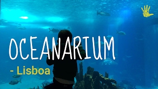 Oceanarium in Lisbon what to expect [upl. by Dorsy]