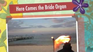 Here Comes the Bride Organ [upl. by Akram]