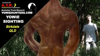 Yowie  Bigfoot Sighting Audio Report 197 at Birkdale Queensland [upl. by Adamec93]