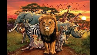 The animal kingdoms formation attributed to the errors of quotCopy Pastequot in evolutions recipe book [upl. by Jarus995]