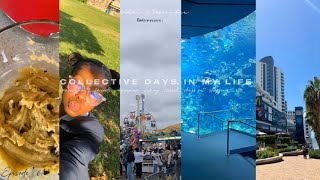 C O L L E C T I V E  Vlog  Ep 6  SouthAfrican YouTuber  days out friends  aquarium  etc [upl. by Ecurb8]