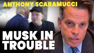 Anthony Scaramucci Trump will unleash hell on Elon Musk ‘in a matter of time’ [upl. by Atinehs801]