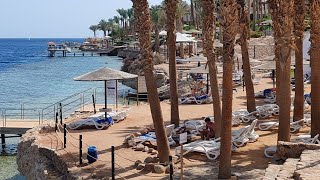 🇪🇬 Grand Rotana Resort amp Spa Sharm El Sheikh Egypt walk on the beach  52024 4K 🐪 [upl. by Serafine]