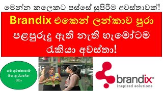 Brandix Job Vacancies 2024 The ULTIMATE Guide to Landing Your Dream Job in Sri Lanka [upl. by Coh]