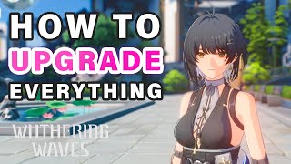 Complete Guide to Upgrading your Resonator  How to get Stronger ► Wuthering Waves [upl. by Pacifica414]