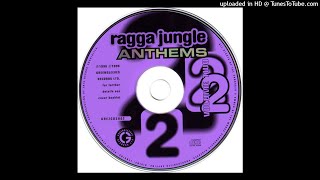 Barrington Levy  Here I Come  Ridley Don Jungle [upl. by Nawud160]