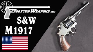 SampW M1917 A US Army revolver in 45 ACP [upl. by Attehcram]