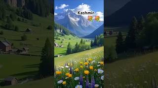 Beautiful flowers garden garden flower shorts flowers short vilej viral kashmir [upl. by Niatsirk]