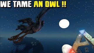 AN OWL IN ARK LETS TAME IT   JURASSIC ARK  ARK SURVIVAL EVOLVED EP96 [upl. by Baer]