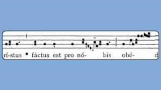 Christus Factus Est Holy Thursday Antiphon [upl. by Arot]