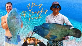 I Finally Catch My Dream Fish On The Great Barrier Reef [upl. by Reiko]