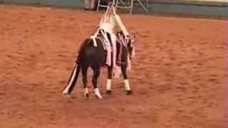 Guinness NRHA Freestyle Reining 2006 [upl. by Inaffit]