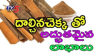 Benefits amp Medicinal Uses Of Dalchina Chekka Cinnamon  Veda Vaidhyam 3  TV5 News [upl. by Felicidad]