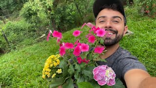 PLANTANDO FLORES NO MEU JARDIM  GUTIZGRILO [upl. by Coad]