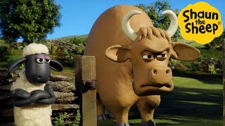 Shaun the Sheep 🐑 The Bull  Cartoons for Kids 🐑 Full Episodes Compilation 1 hour [upl. by Runstadler]