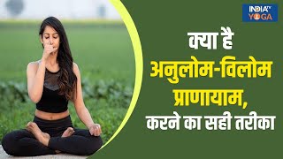 Basic Yoga  क्या है अनुलोमविलोम प्राणायाम जानिए इसे करने का सही तरीका  Anuloma Viloma Pranayama [upl. by Eurydice]