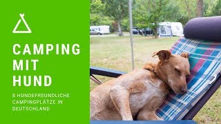 Camping mit Hund – 8 hundefreundliche Campingplätze in Deutschland [upl. by Sarge]