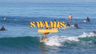 Labor Day at Swamis [upl. by Lavinia]