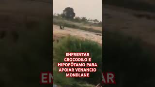 ENFRENTAR CROCODILO E HIPOPÓTAMO PARA APOIAR VENANCIO MONDLANE EM MOÇAMBIQUE 🇲🇿 MAPUTO [upl. by Frieda812]