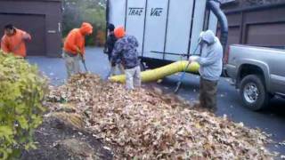 TracVac 288 Leaf Collection System [upl. by Glendon]