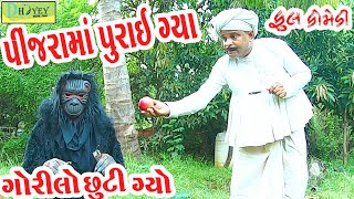 Pinjrama Purai Gya પીંજરામાં પુરાઈ ગ્યા Comedy VideolDeshi Comedy।।Comedy Video ll [upl. by Onej]