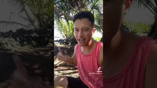 Malihini Sits on Cultural Sites at Waiakahiʻula Beach Park [upl. by Barnet481]