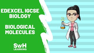 Biological Molecules  Edexcel IGCSE Biology  Includes Exam Questions amp Answers [upl. by Lertsek]