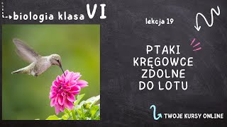 Biologia klasa 6 Lekcja 19  Ptaki  kręgowce zdolne do lotu [upl. by Ball]