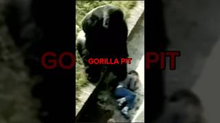 KID FALLS IN GORILLA PIT😱🤯 AleVik Shorts shorts [upl. by Lettig]