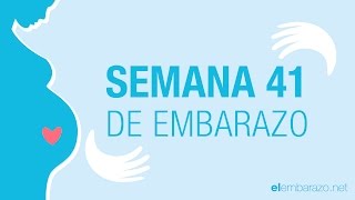 Semana 41 de embarazo  41 semanas de embarazo  El embarazo semana a semana [upl. by Nob]