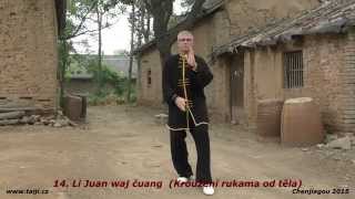 chen taiji chan si gong Radek Kolar [upl. by Anneuq]