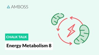 Energy Metabolism  Part 8 Anaerobic vs Aerobic Metabolism [upl. by Elston]