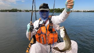 Most Effective Way for Beginner to Catch Speckled Trout Cut Bait and Popping Cork Rig Kayak Fishing [upl. by Cutlip]