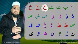 A BEAUTIFUL ARABIC ALPHABET SONG  BEST ALPHABET SONG  ALIF BA TAA FOR KIDS [upl. by Pirzada]