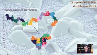 Les enzymes et leur double spécificité [upl. by Shultz]