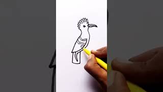 how to draw hoopoe  hudhud ki Drawing [upl. by Cornelle]