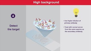 Immunohistochemistry Tips and Tricks for High Background [upl. by Melamie]