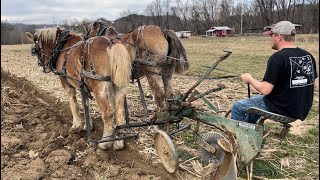 Plowing with horses [upl. by Jerrine]