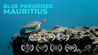 Diving MAURITIUS  Underwater Video 4K  BLUE PARADISES S02 [upl. by Dannica]