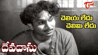 Telugu Old Songs Devadasu Movie  Cheliya Ledhu Song  ANR  Savitri  Old Telugu Songs [upl. by Almita232]