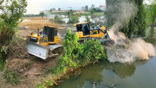 Bulldozer SHANTUI Clearing Land And Fores Tree With DumpTruck TRAGO DONGFENG HYUNDAI 25TON Unloading [upl. by Marys]