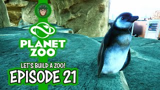 ORGANISING THE ZOO  Planet Zoo  Lets Build A Zoo  Episode 21 [upl. by Asseralc148]