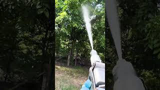 Spraying Bagworms POV [upl. by Estele]